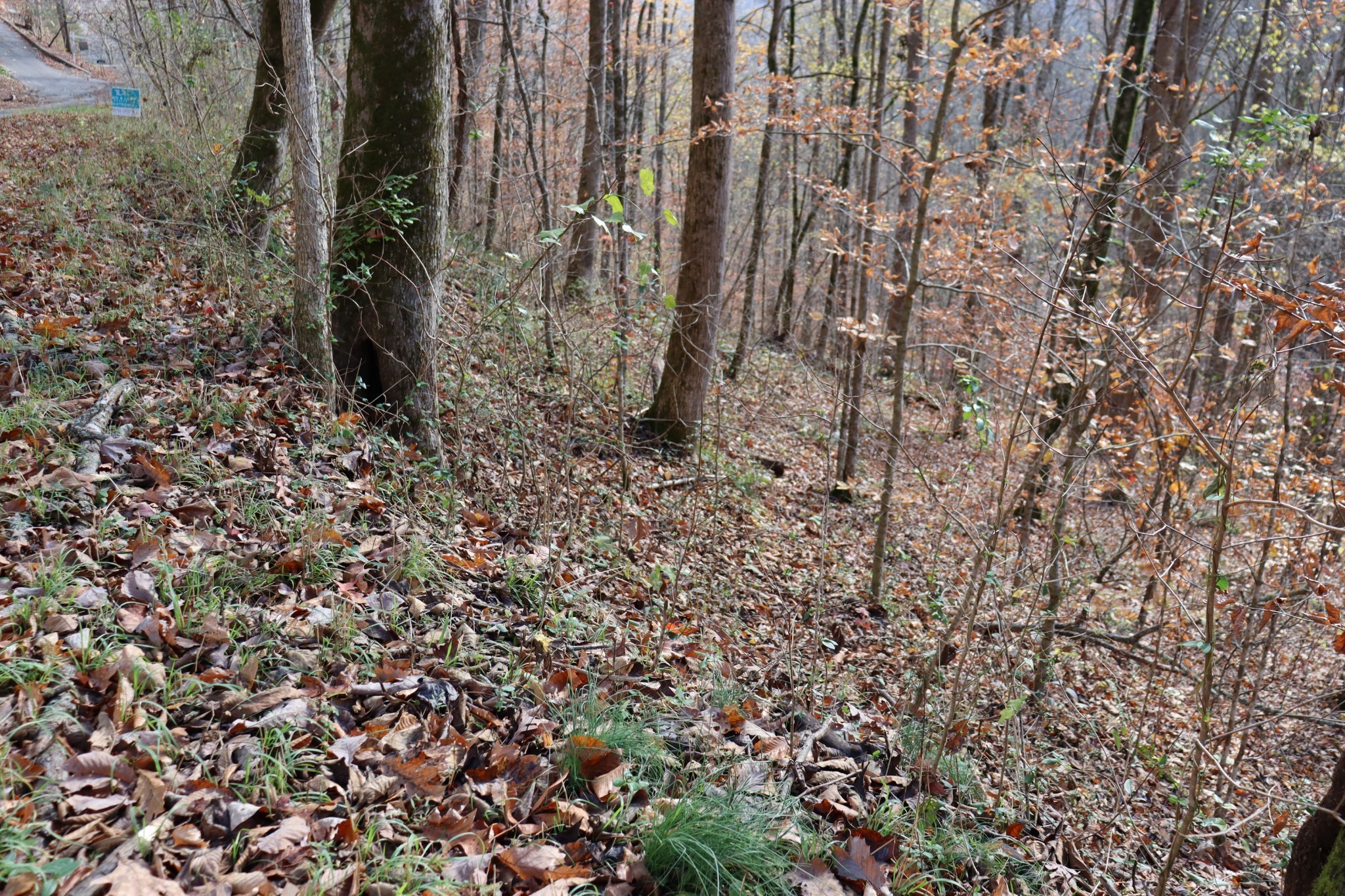 74 Cherokee Drive Smithville TN 37166