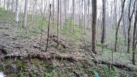 74 Cherokee Drive Smithville TN 37166