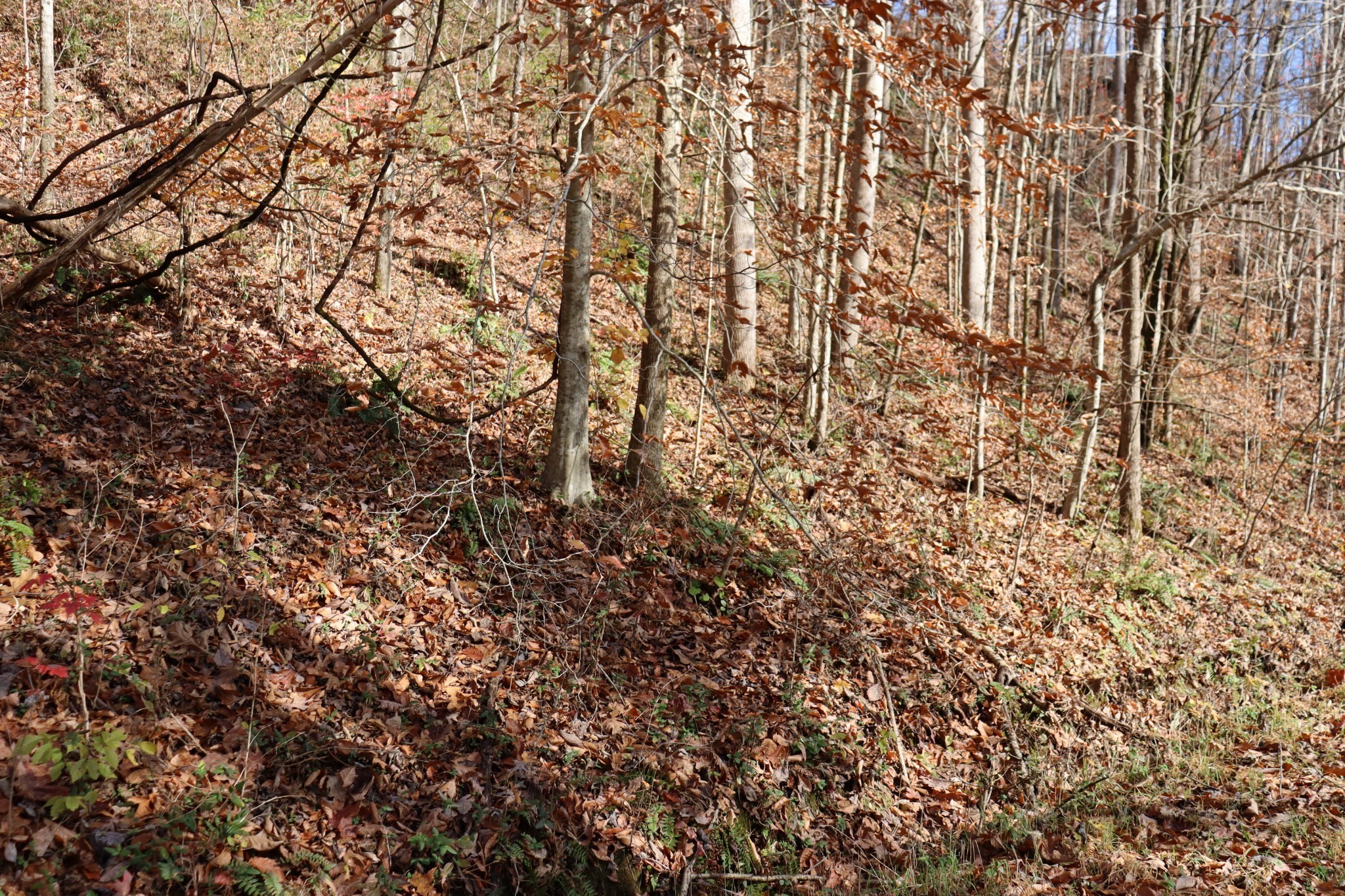 74 Cherokee Drive Smithville TN 37166