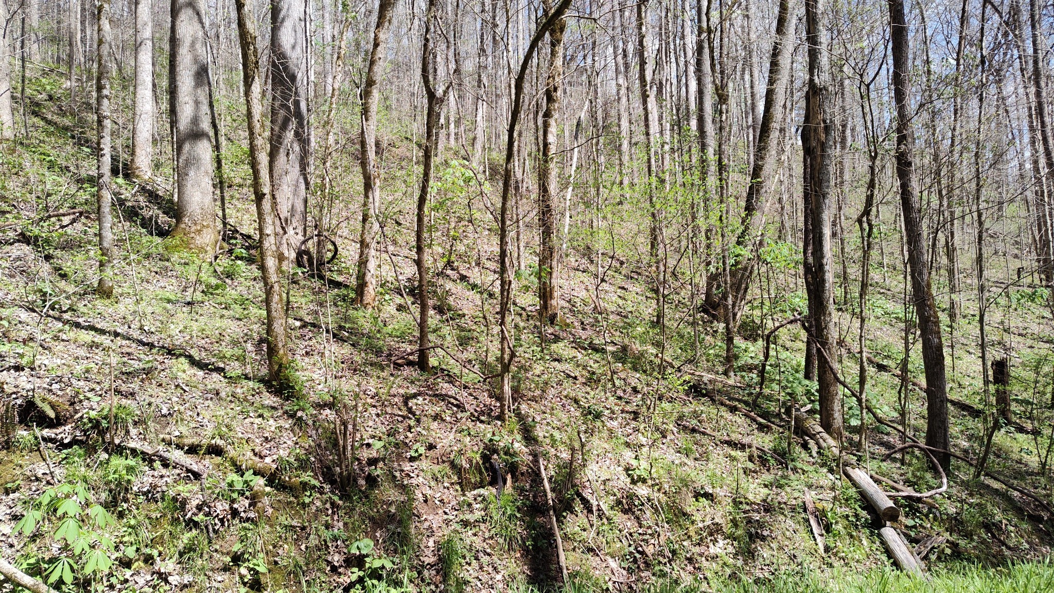 74 Cherokee Drive Smithville TN 37166