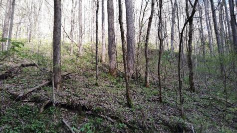 74 Cherokee Drive Smithville TN 37166