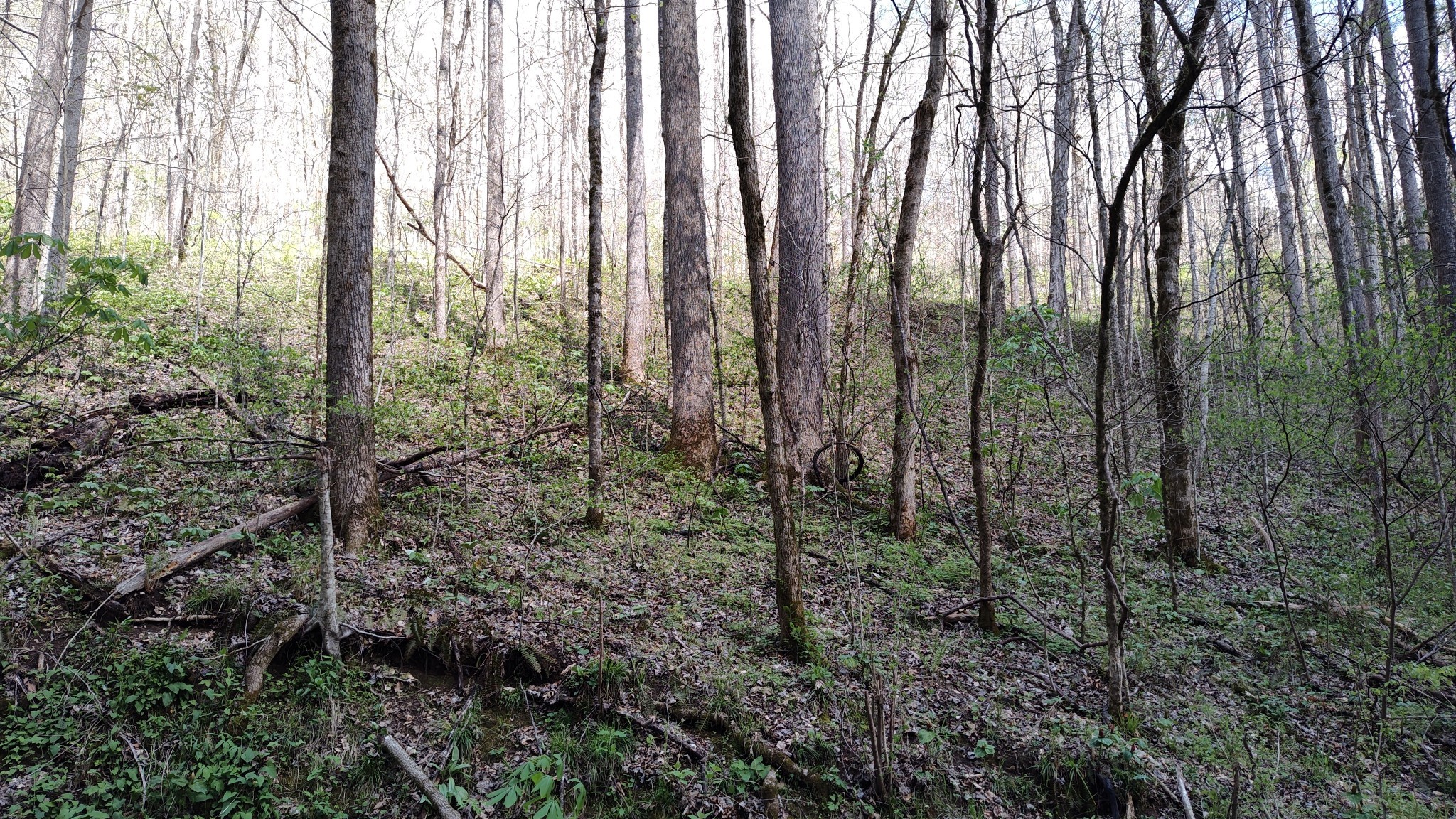 74 Cherokee Drive Smithville TN 37166