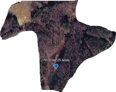 0 7th Street Coalmont TN 37313