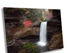 0 7th Street Coalmont TN 37313