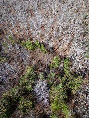 500 Highway 96, N Fairview TN 37062