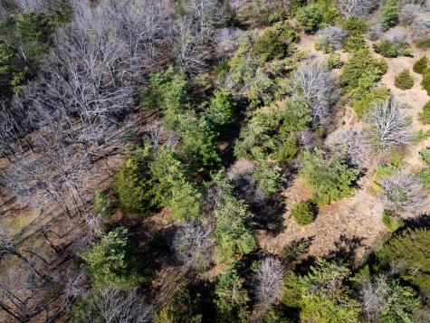 500 Highway 96, N Fairview TN 37062