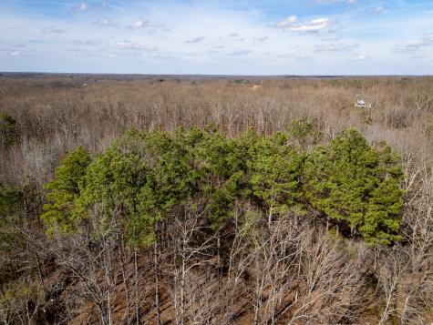 500 Highway 96, N Fairview TN 37062