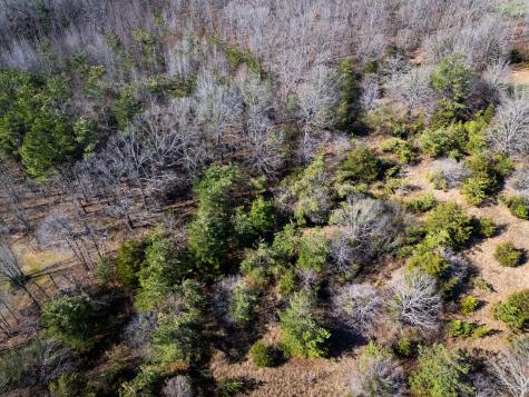 500 Highway 96, N Fairview TN 37062