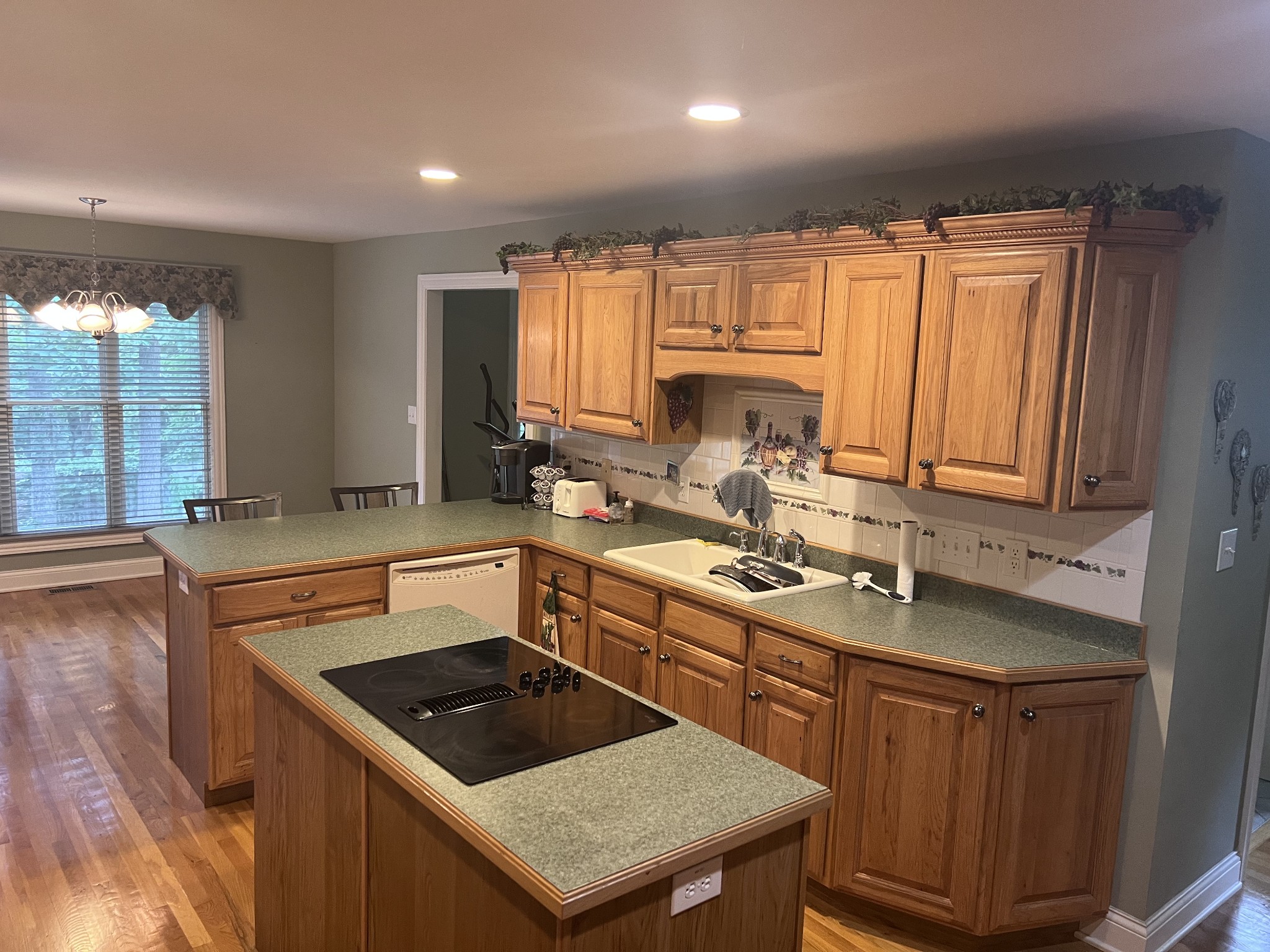 4090 Ironwood Drive Greenbrier TN 37073