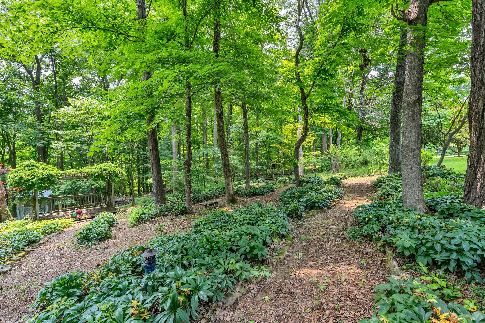 4090 Ironwood Drive Greenbrier TN 37073