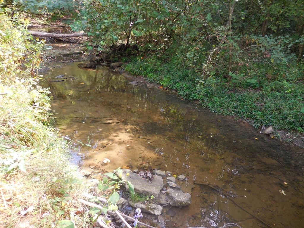 5154 Dry Mill Creek Hilham TN 38568