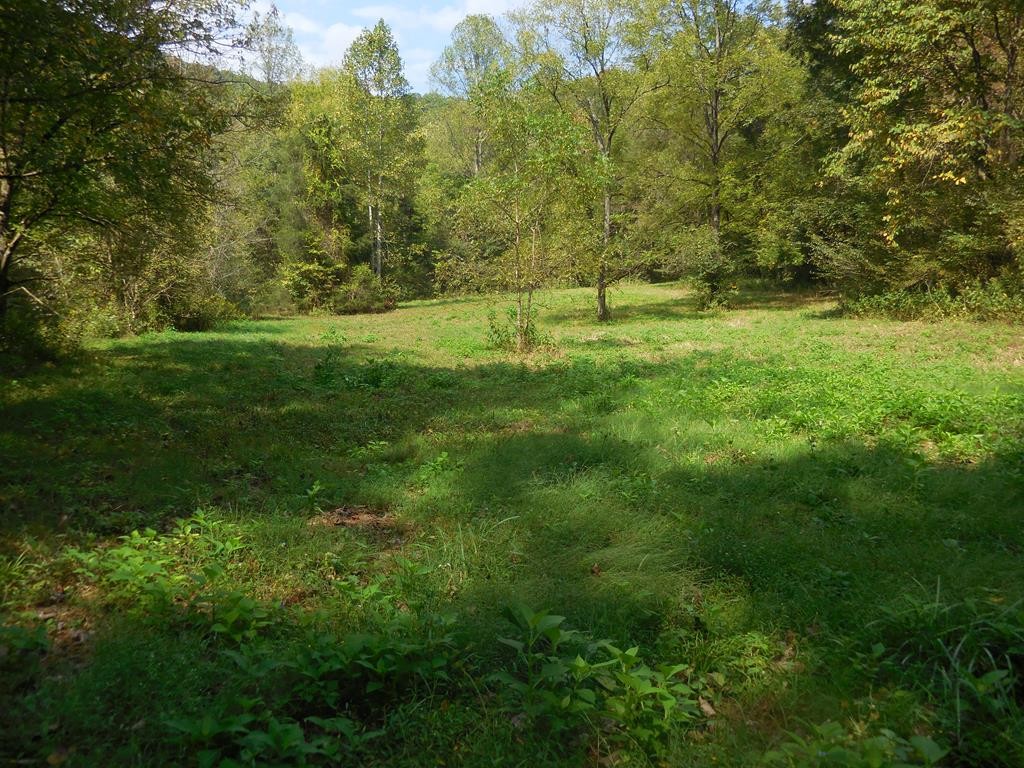 5154 Dry Mill Creek Hilham TN 38568