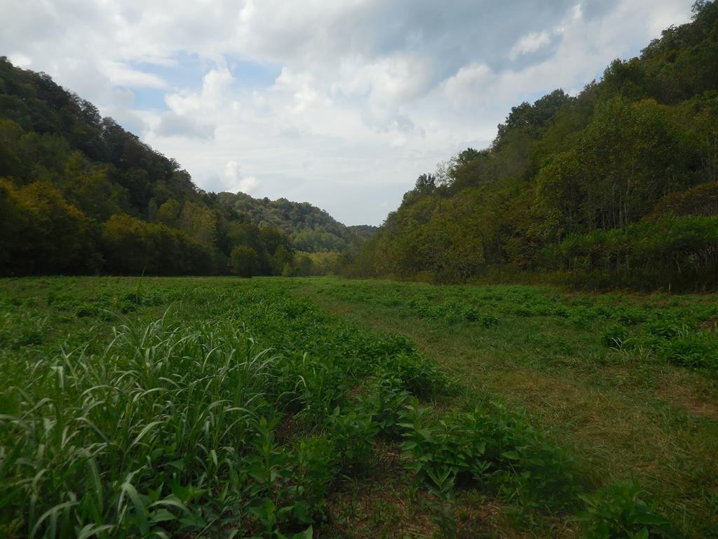 5154 Dry Mill Creek Hilham TN 38568
