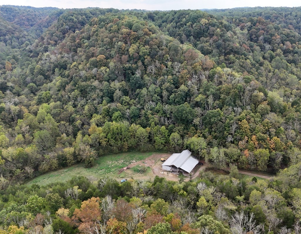 5154 Dry Mill Creek Hilham TN 38568