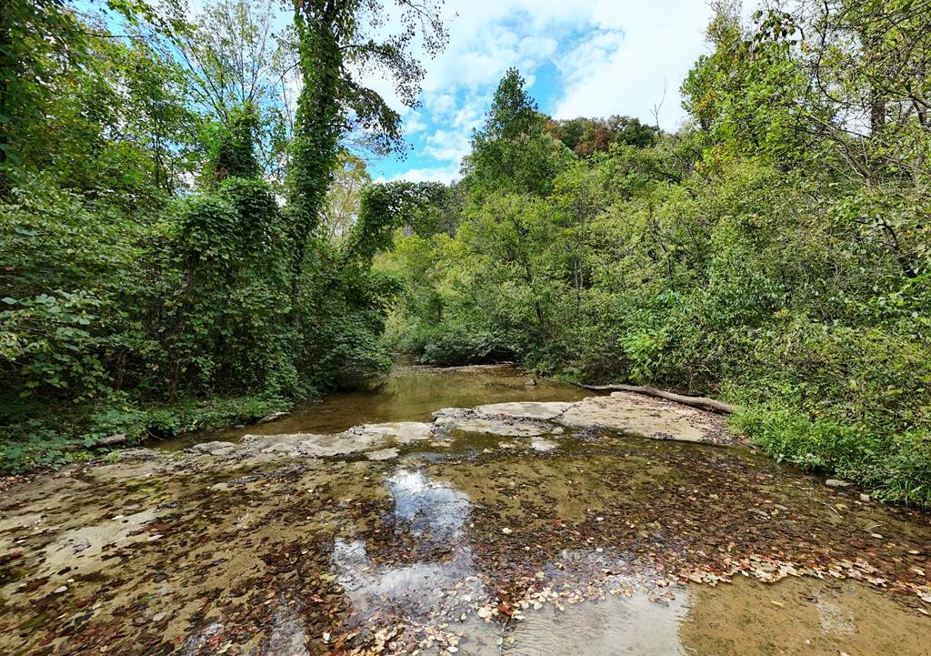 5154 Dry Mill Creek Hilham TN 38568