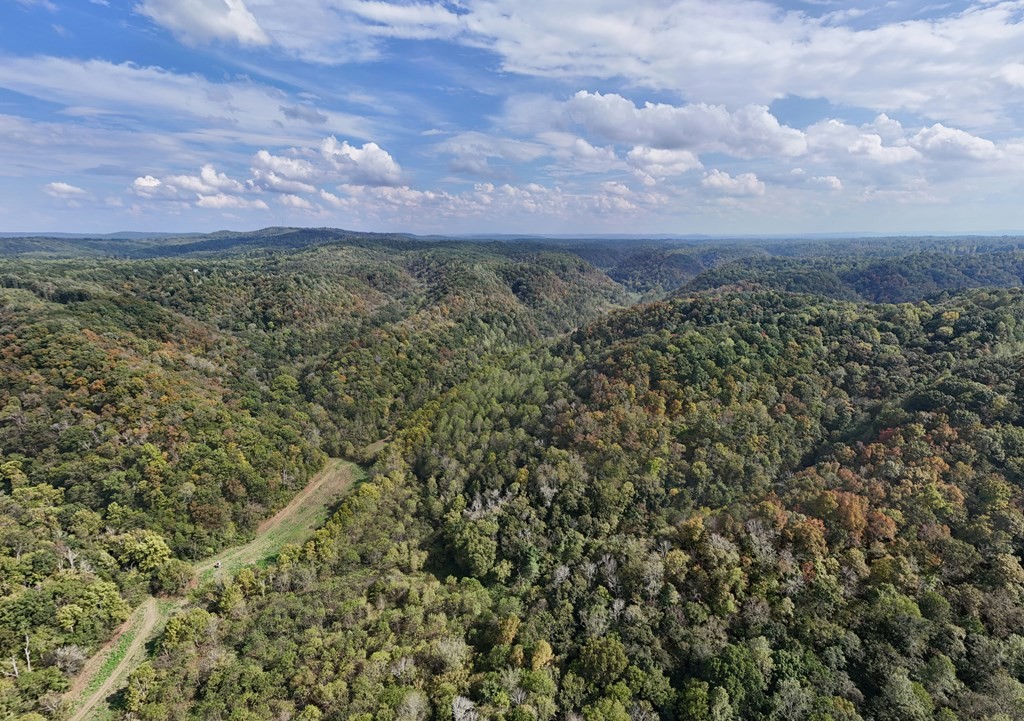 5154 Dry Mill Creek Hilham TN 38568