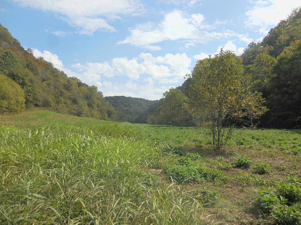 5154 Dry Mill Creek Hilham TN 38568