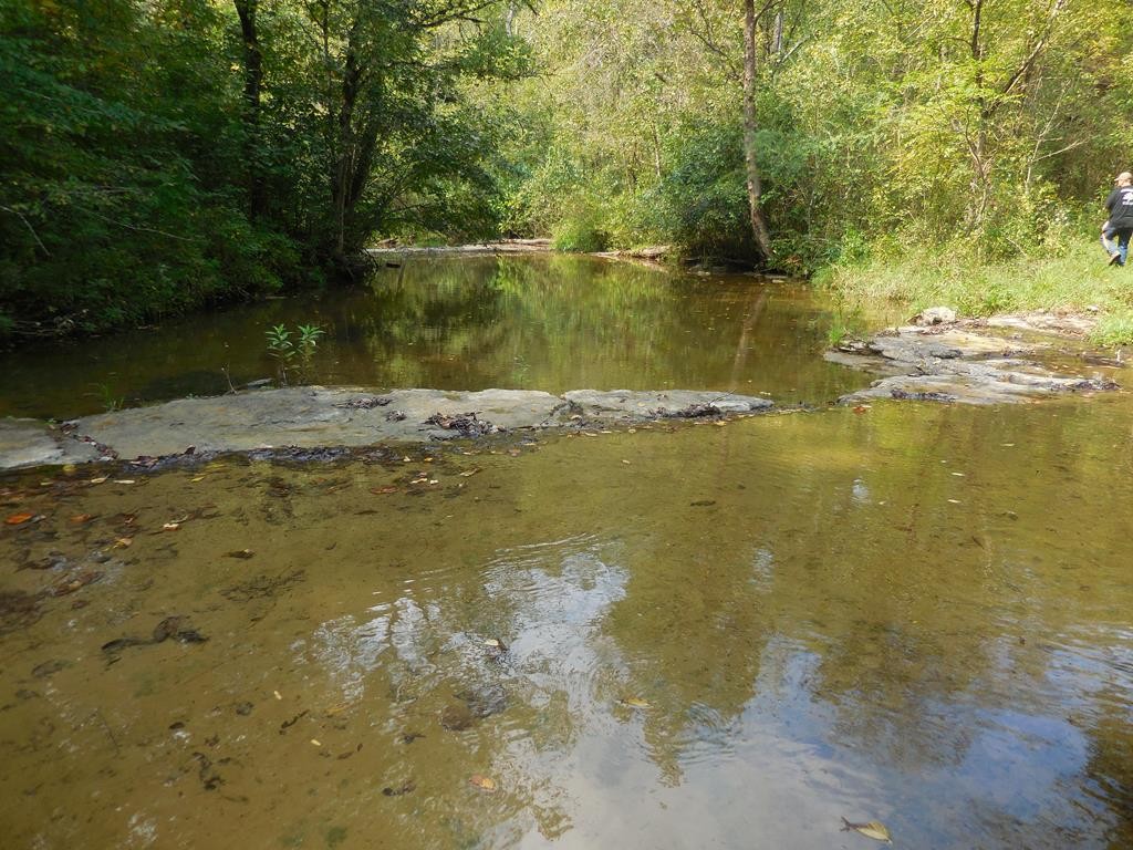 5154 Dry Mill Creek Hilham TN 38568