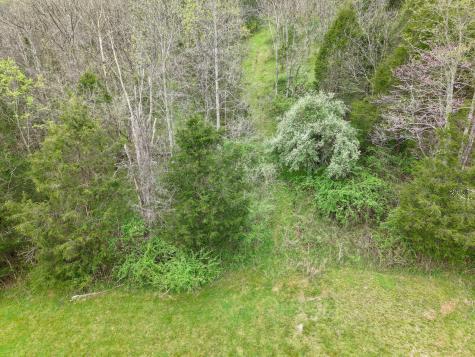 1675 Indian Creek Road Whitleyville TN 38588