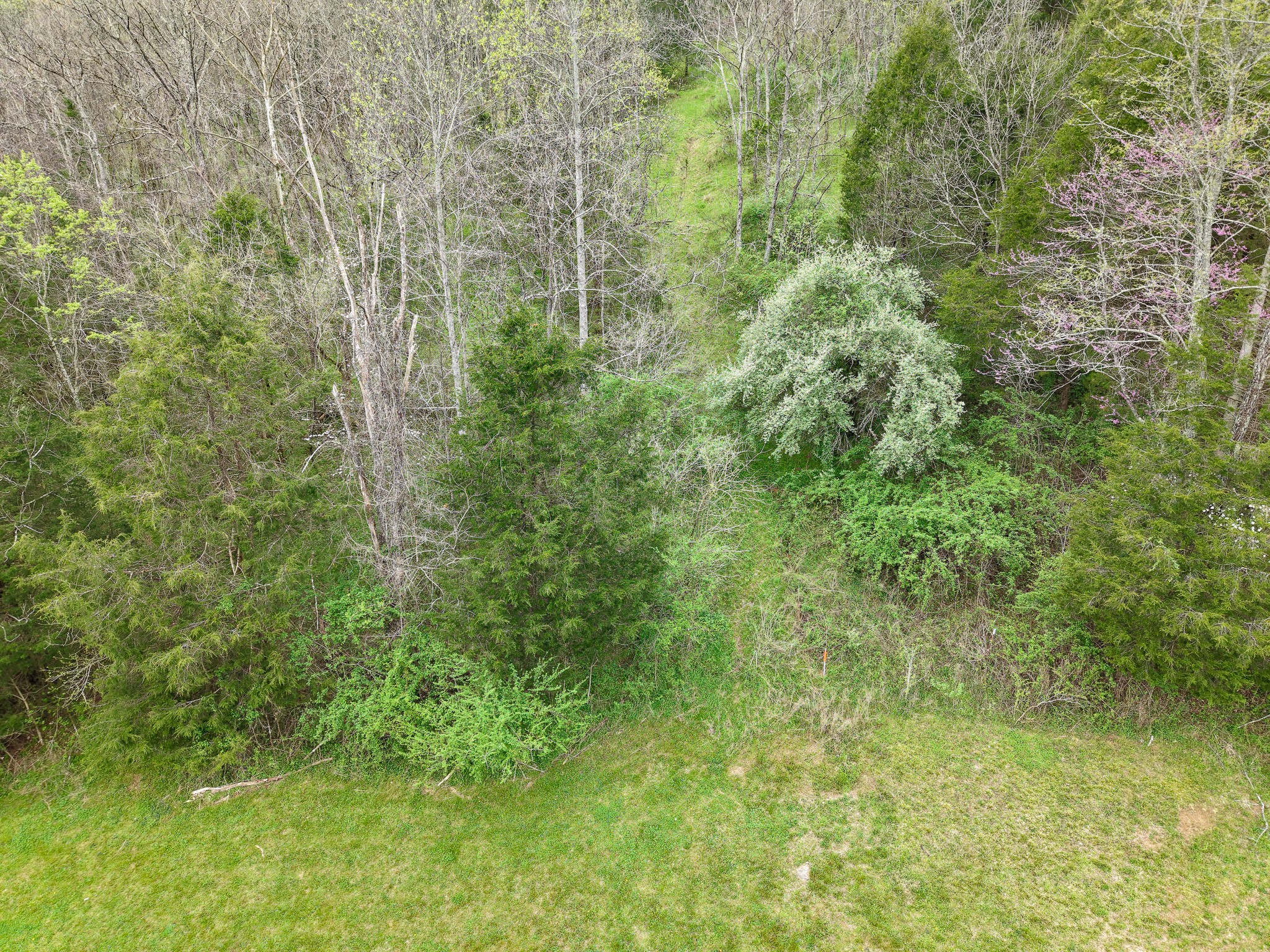 1675 Indian Creek Road Whitleyville TN 38588