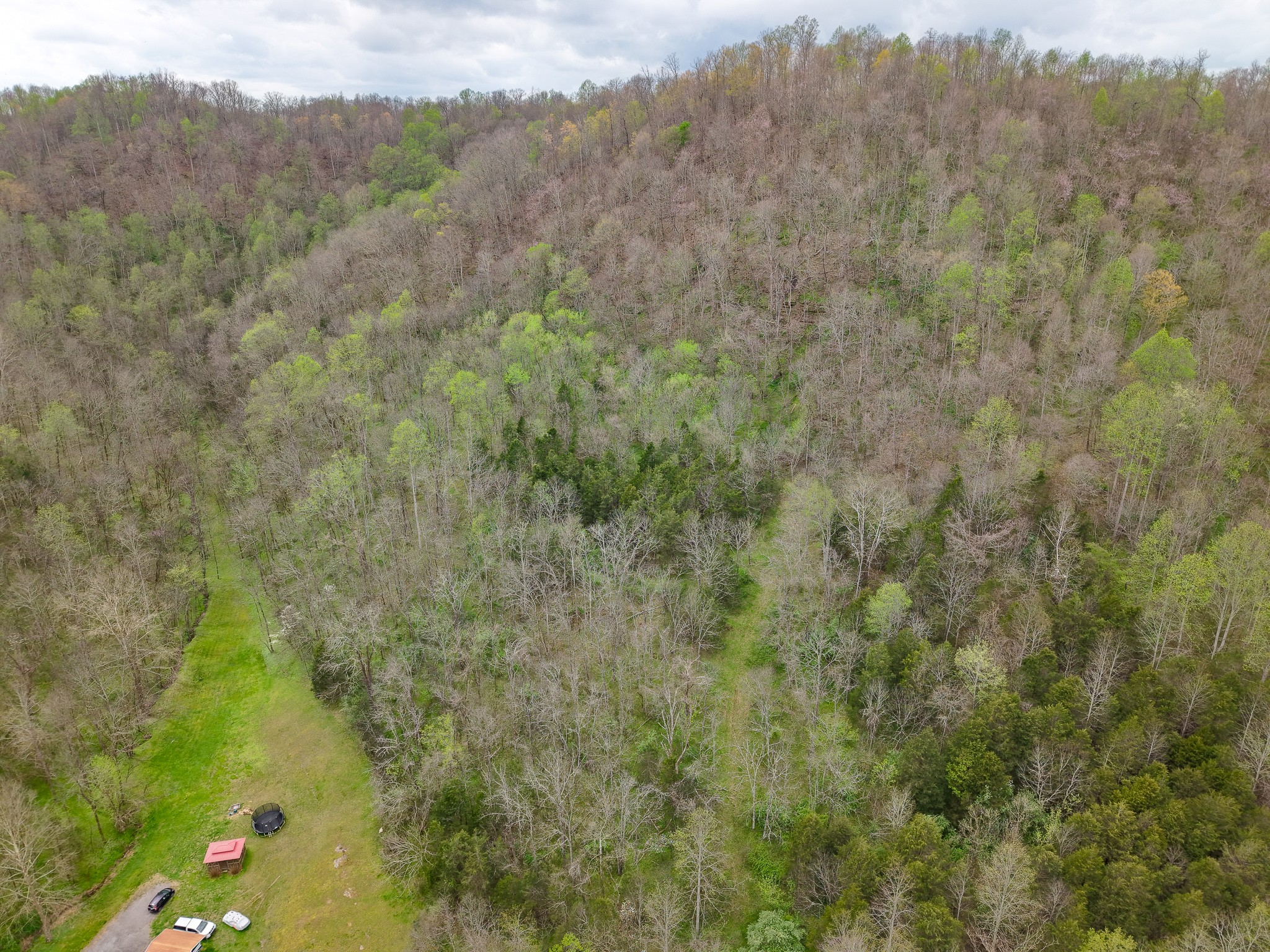 1675 Indian Creek Road Whitleyville TN 38588