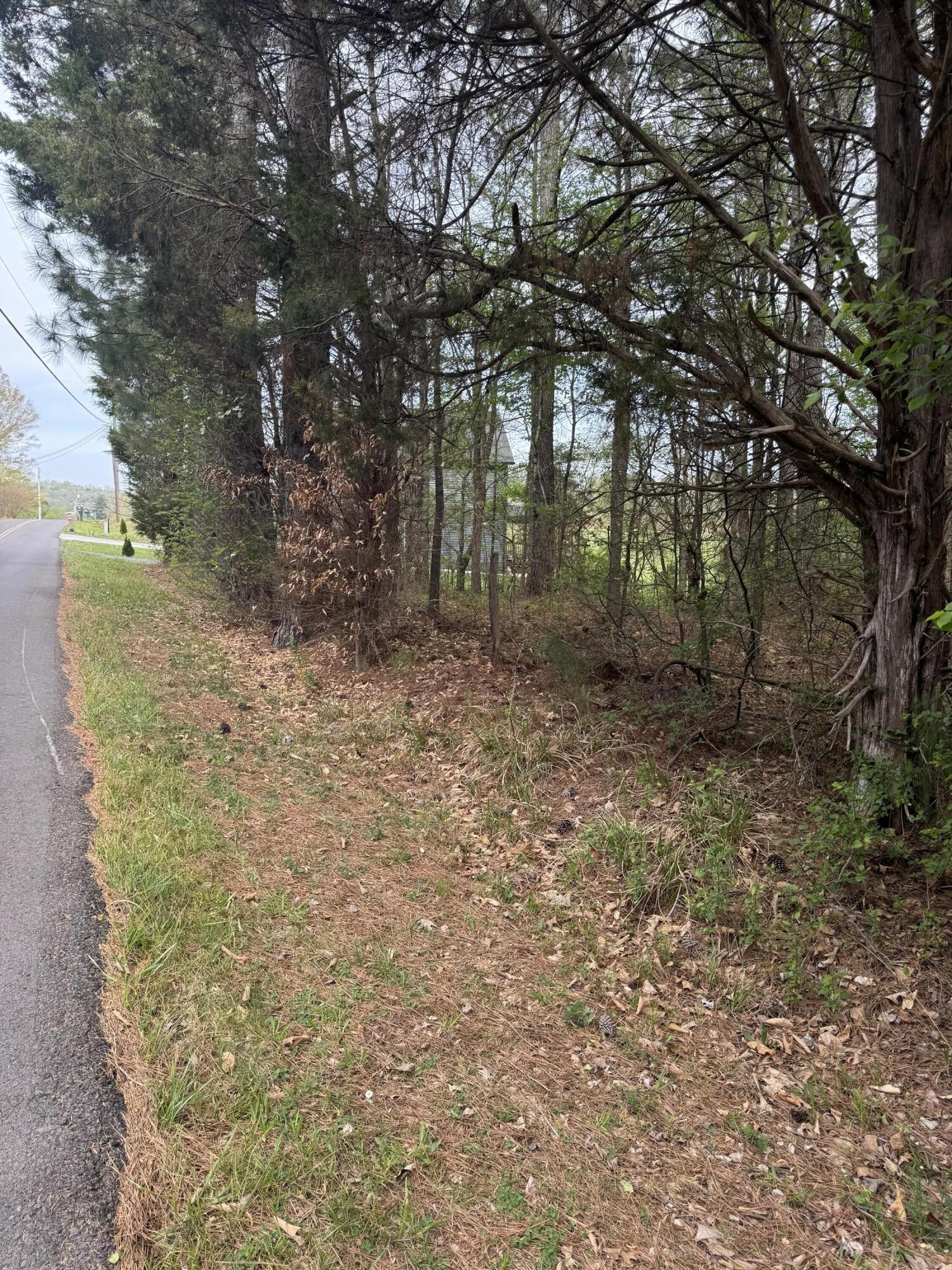 130 SE Trewhitt Drive, SE Cleveland TN 37323