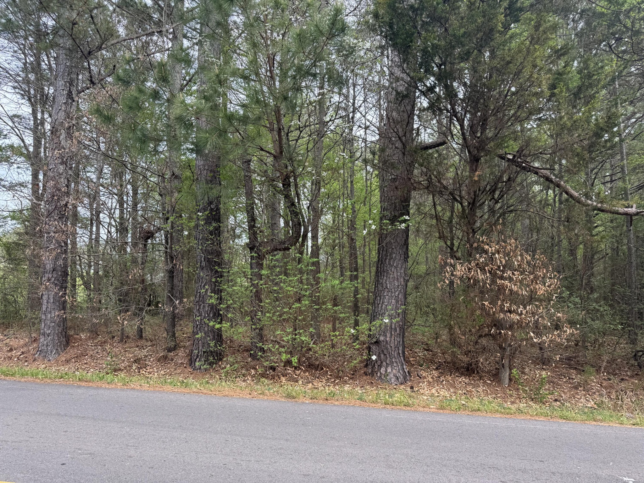 130 SE Trewhitt Drive, SE Cleveland TN 37323