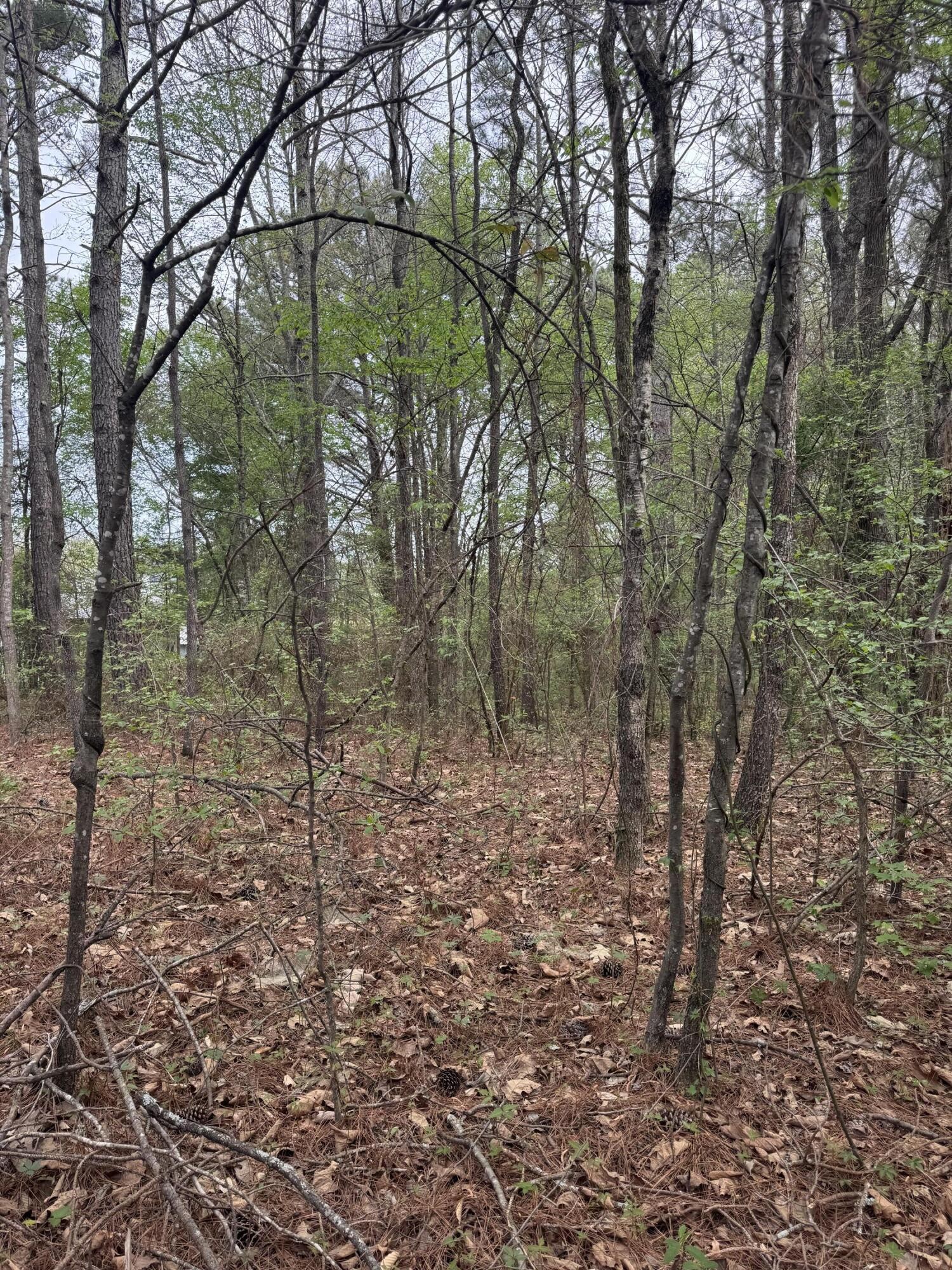 130 SE Trewhitt Drive, SE Cleveland TN 37323