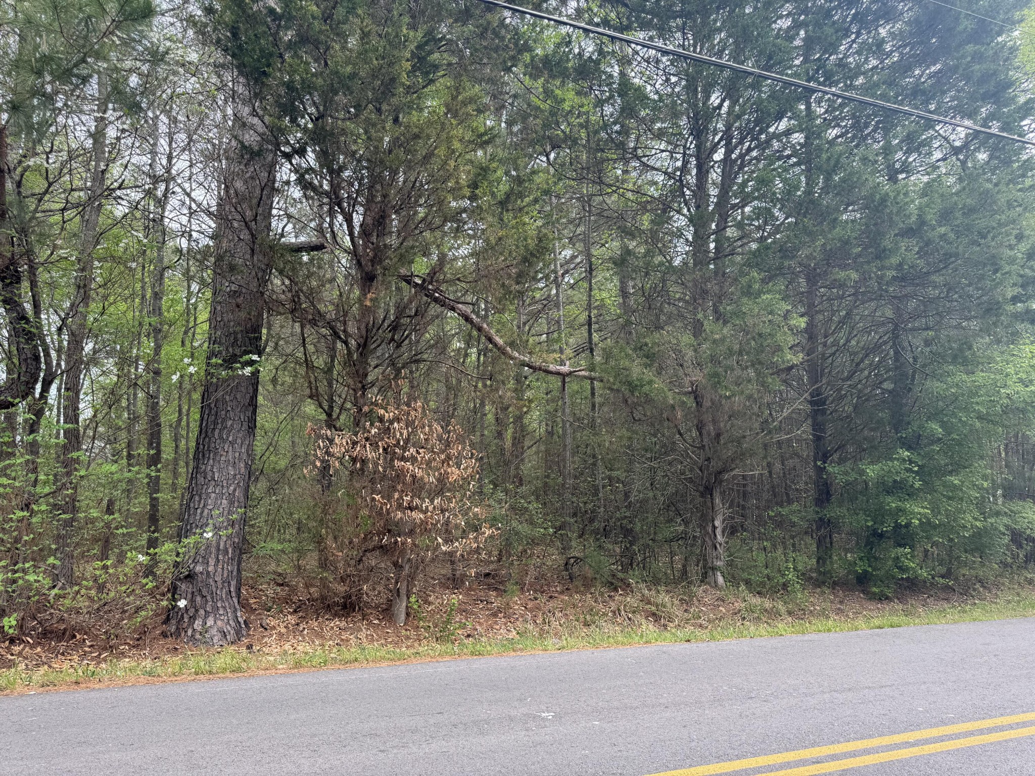 130 SE Trewhitt Drive, SE Cleveland TN 37323