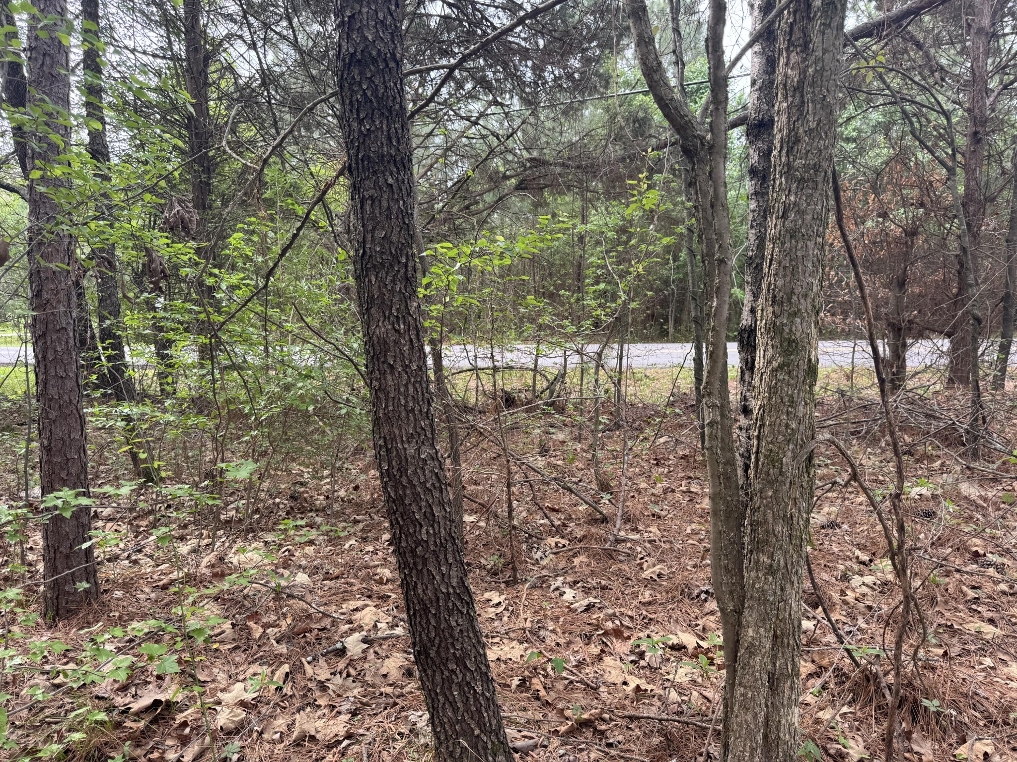 130 SE Trewhitt Drive, SE Cleveland TN 37323