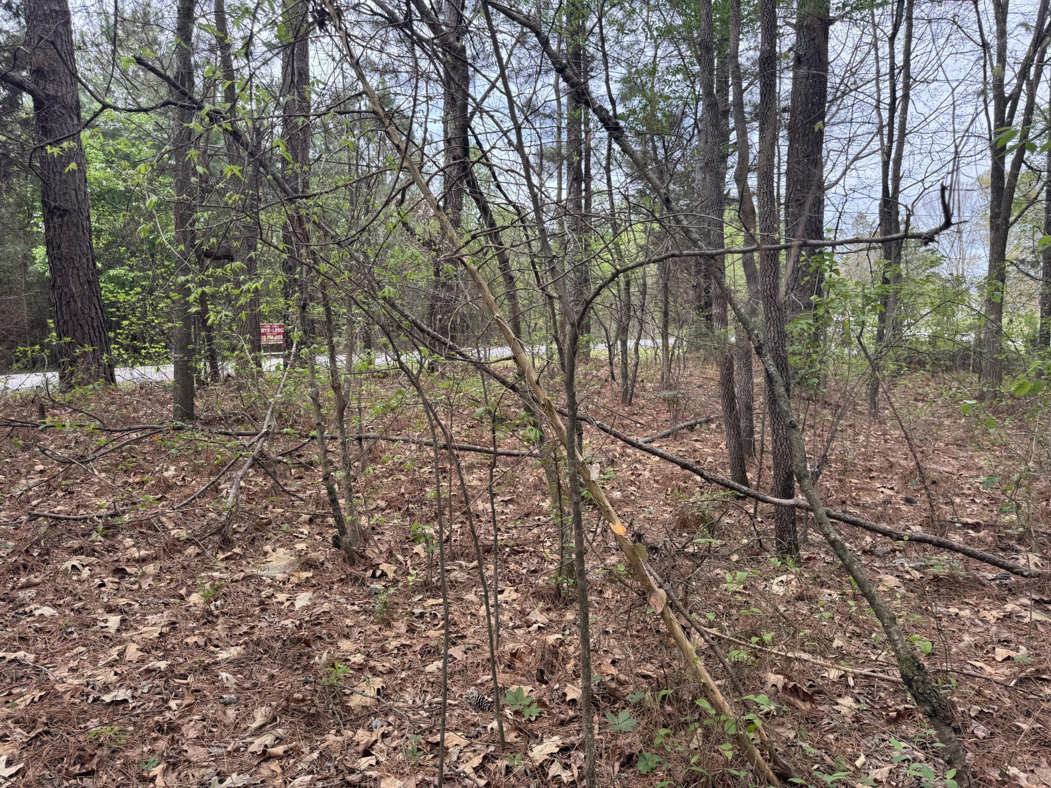 130 SE Trewhitt Drive, SE Cleveland TN 37323