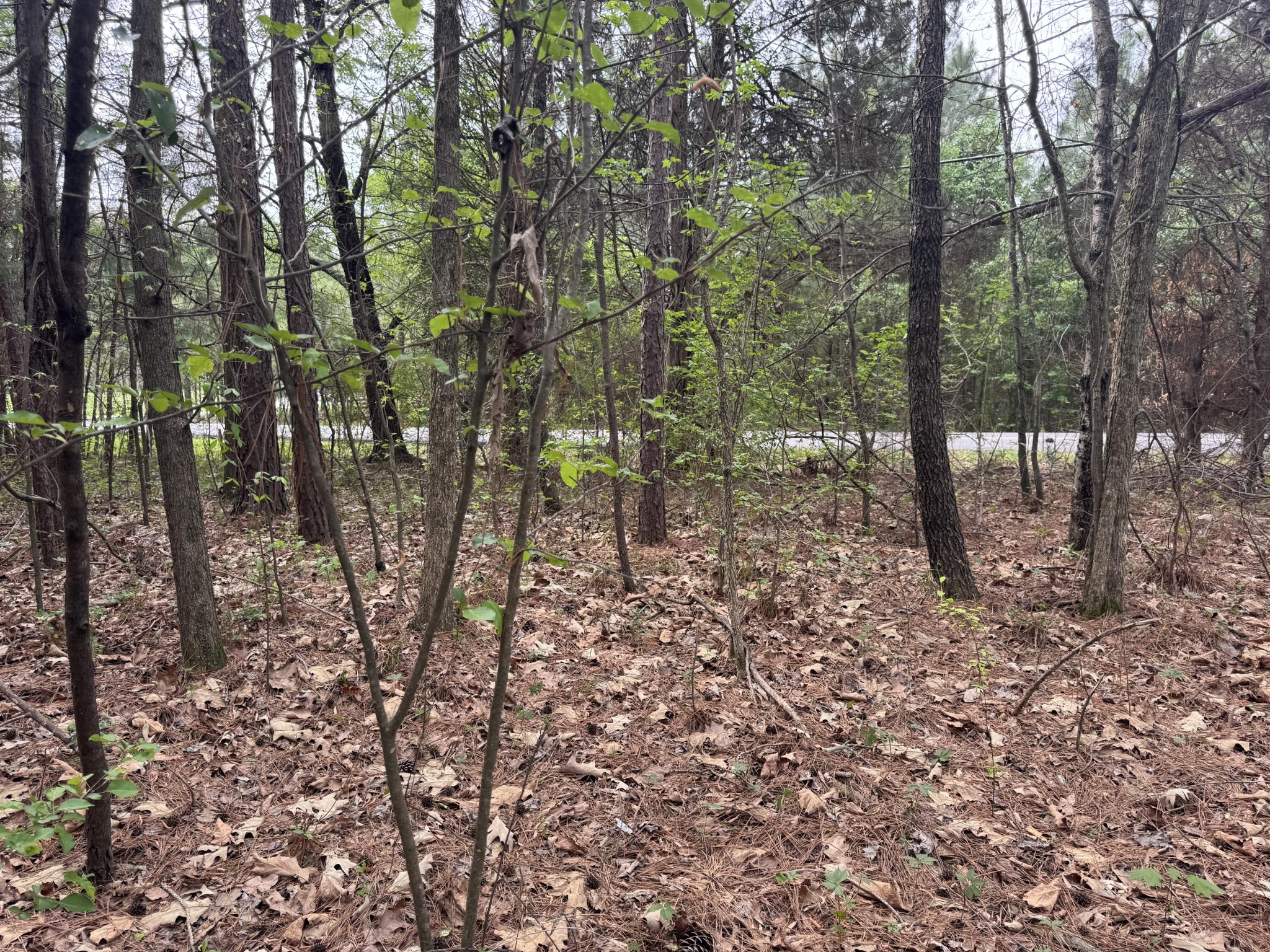 130 SE Trewhitt Drive, SE Cleveland TN 37323