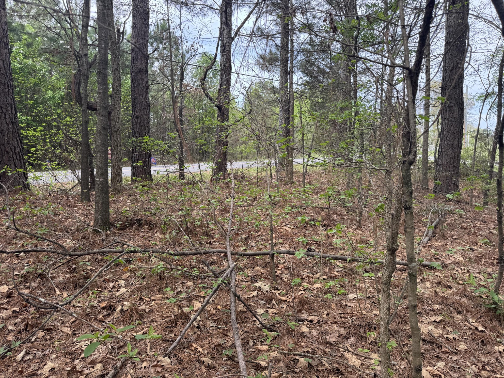 130 SE Trewhitt Drive, SE Cleveland TN 37323