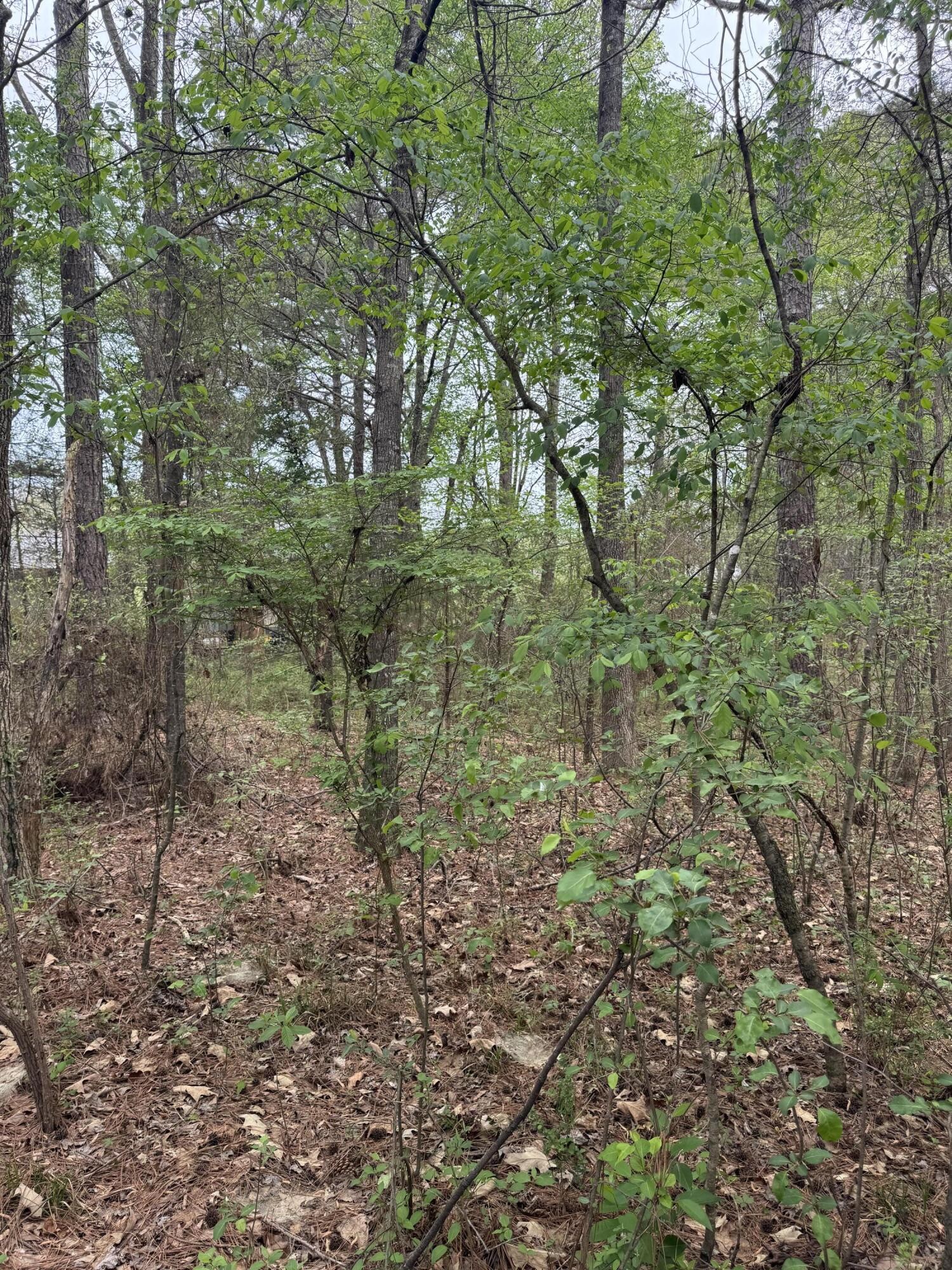 130 SE Trewhitt Drive, SE Cleveland TN 37323