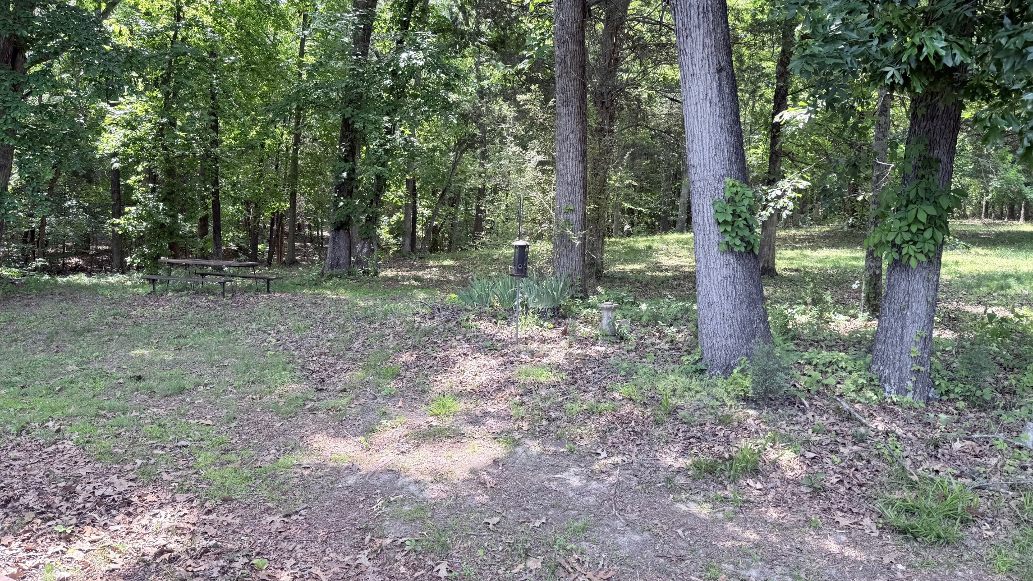 5260 New Cut Road Greenbrier TN 37073