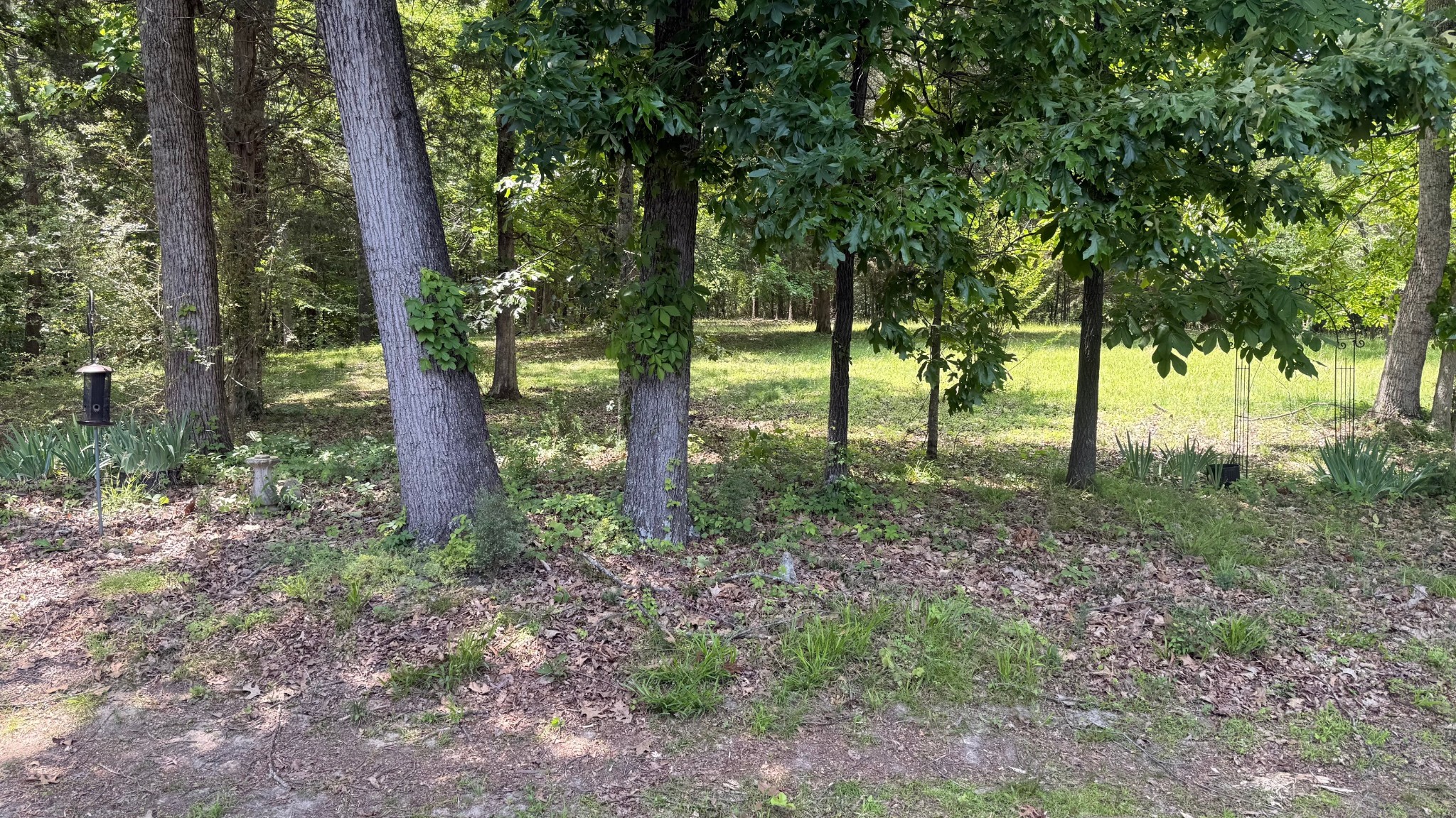 5260 New Cut Road Greenbrier TN 37073