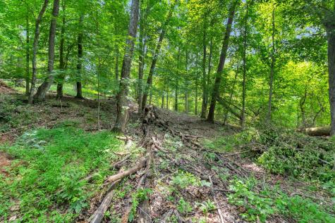 3132 Cherokee Circle Ten Mile TN 37880