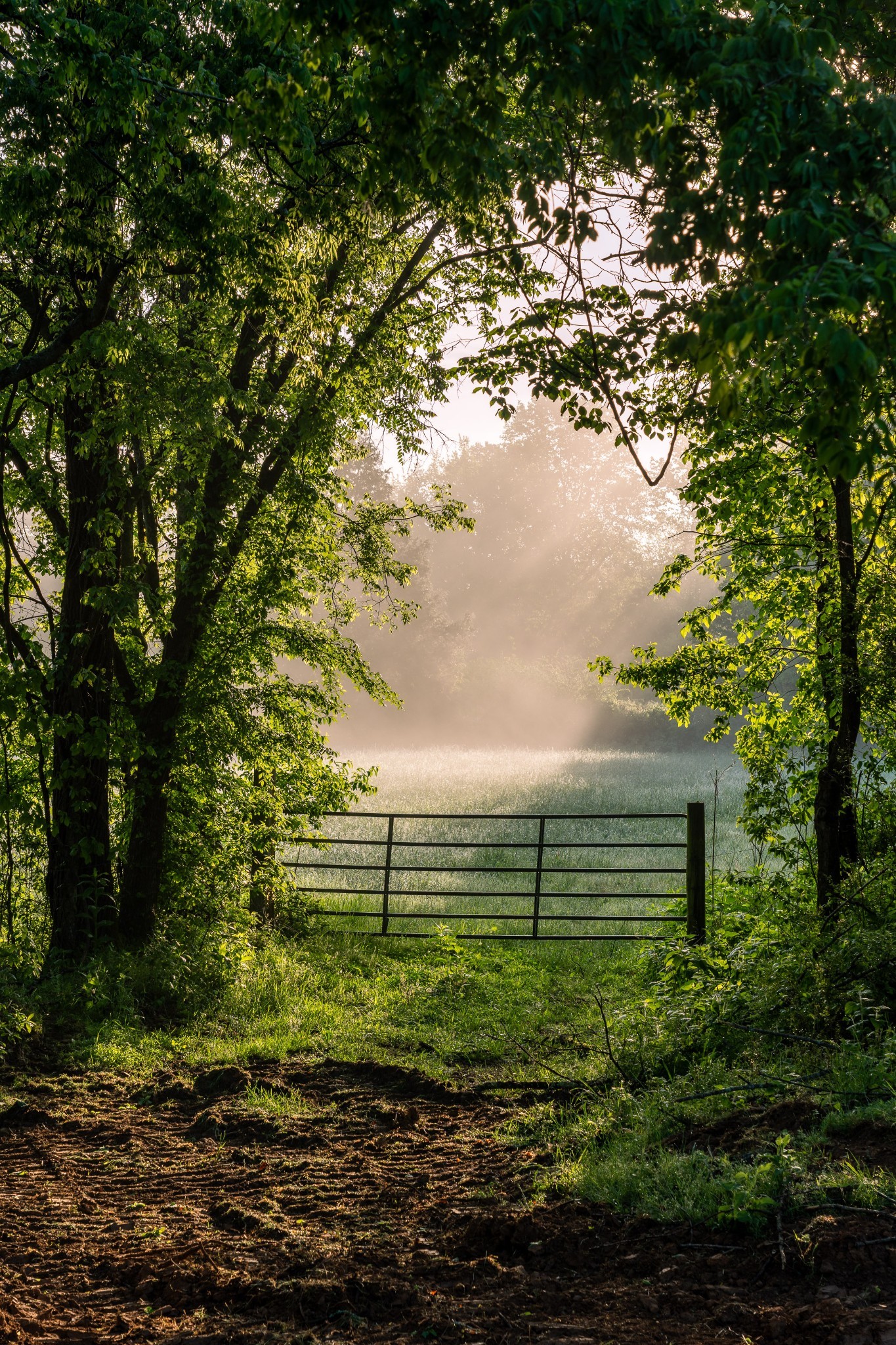 1647 Groveland Ridge Road Columbia TN 38401