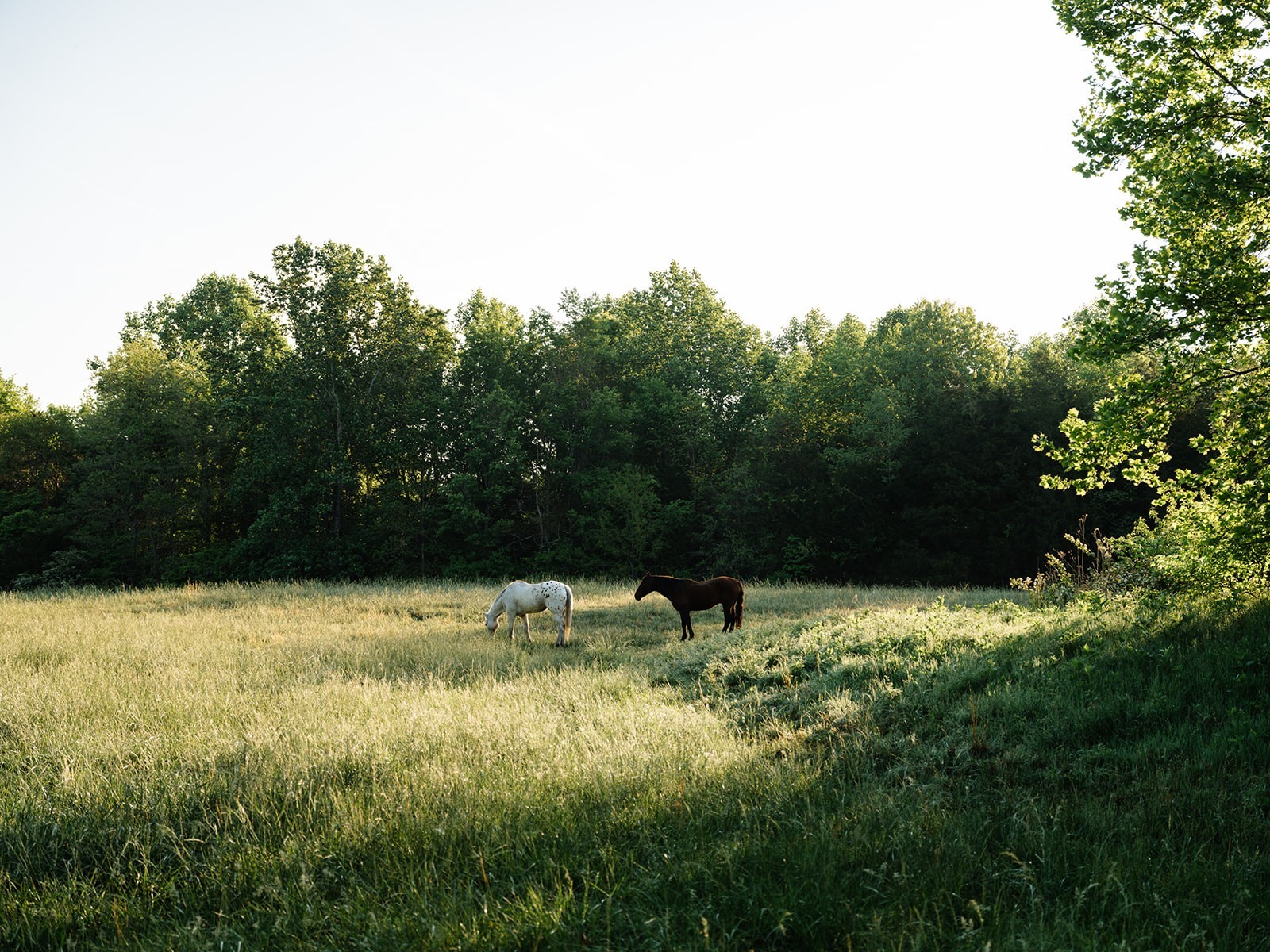 1647 Groveland Ridge Road Columbia TN 38401