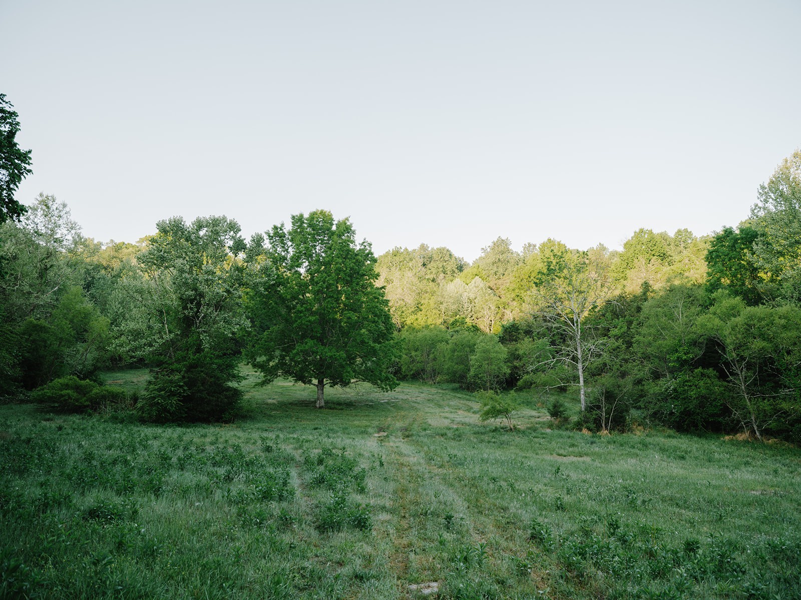 1647 Groveland Ridge Road Columbia TN 38401