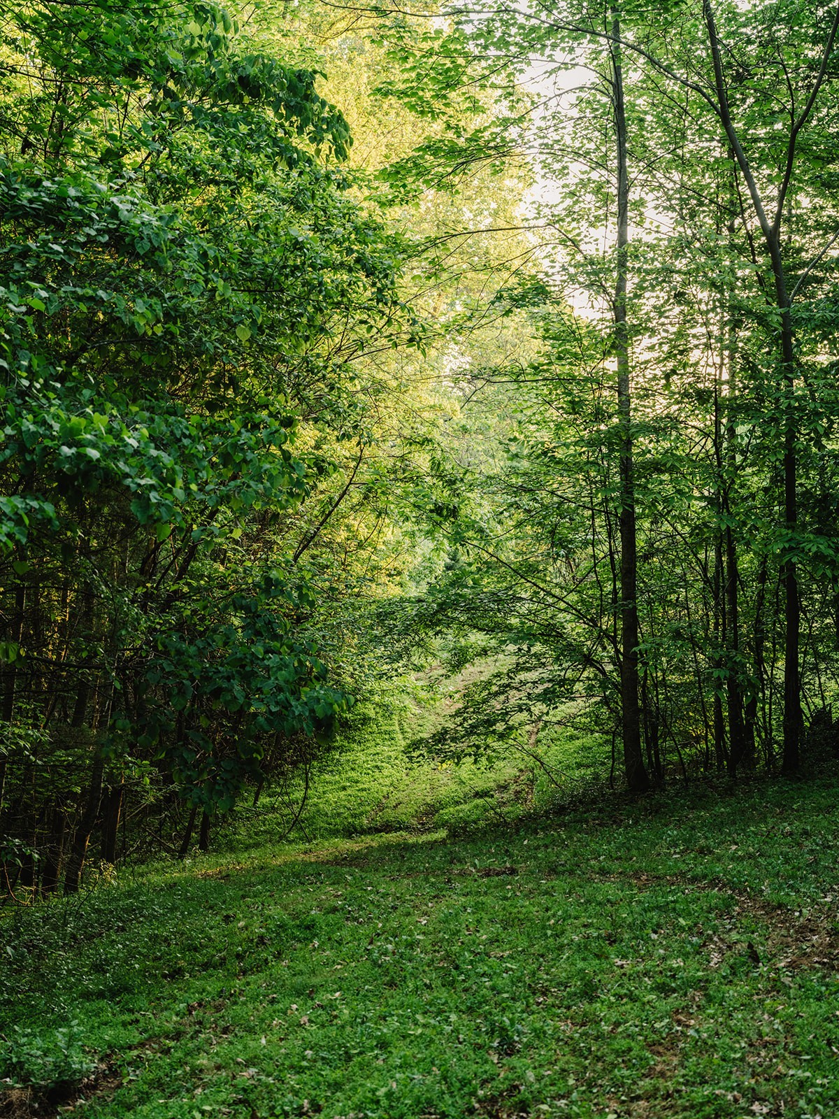 1647 Groveland Ridge Road Columbia TN 38401