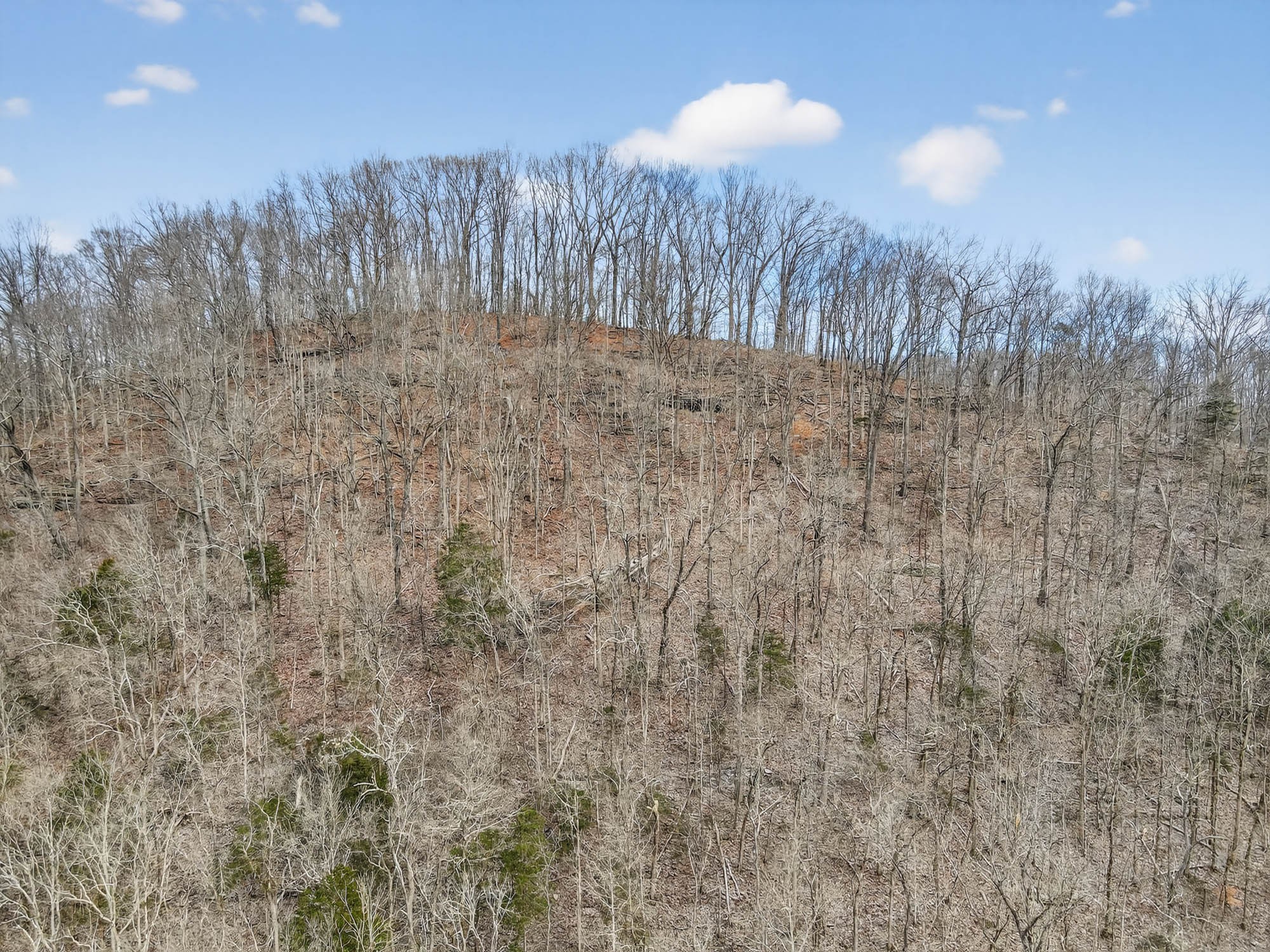 0 Sycamore Valley Road Lafayette TN 37083