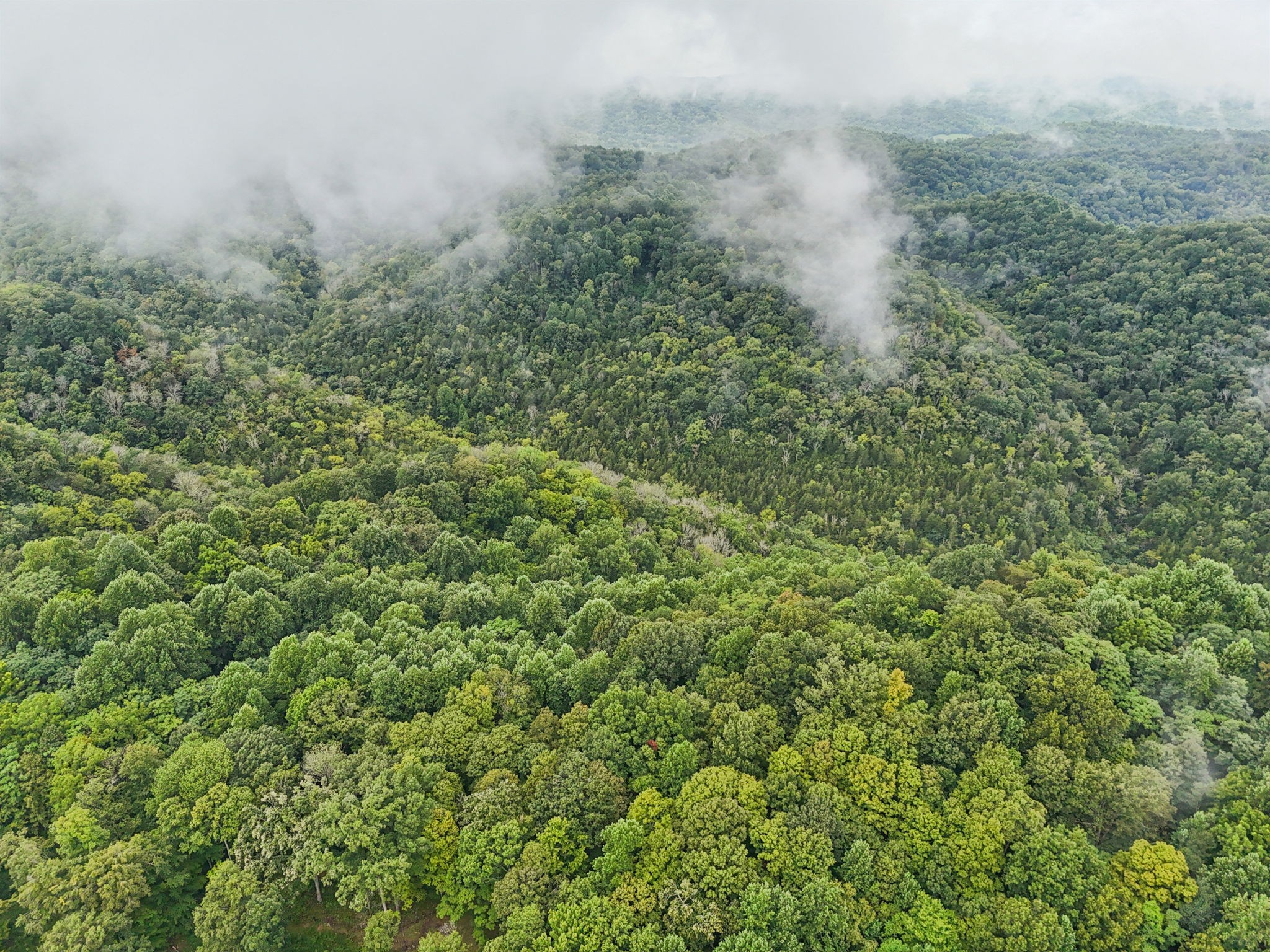 0 Turkey Branch Road Liberty TN 37095