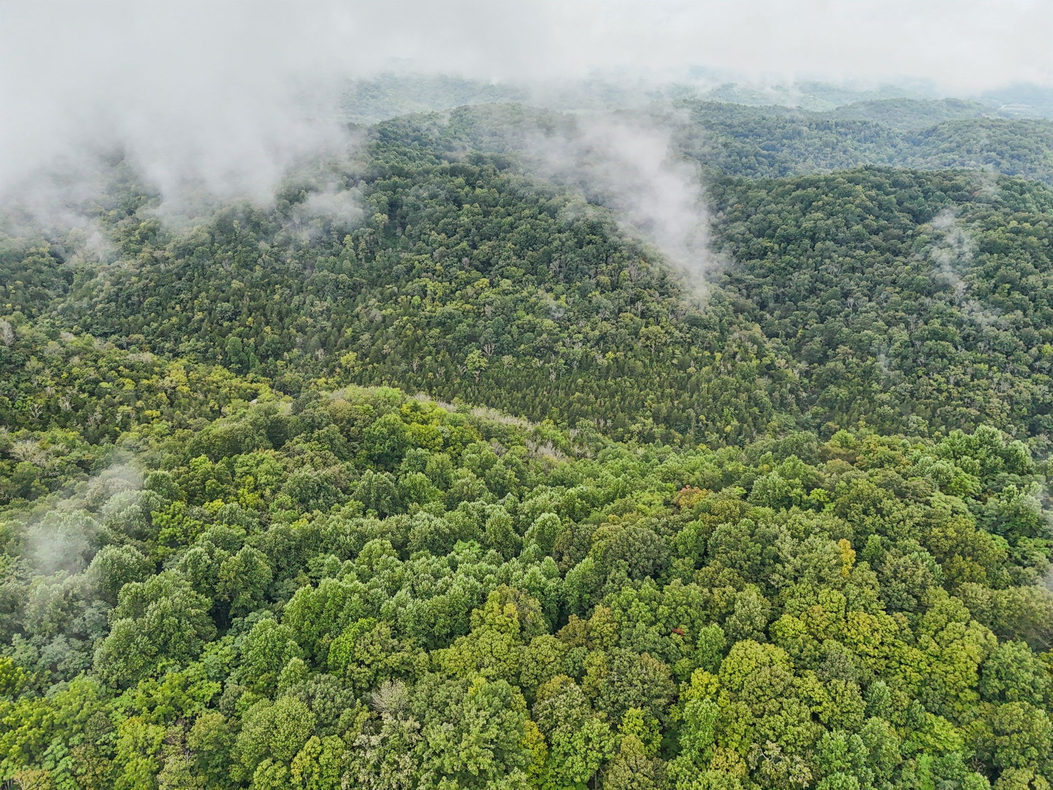 0 Turkey Branch Road Liberty TN 37095