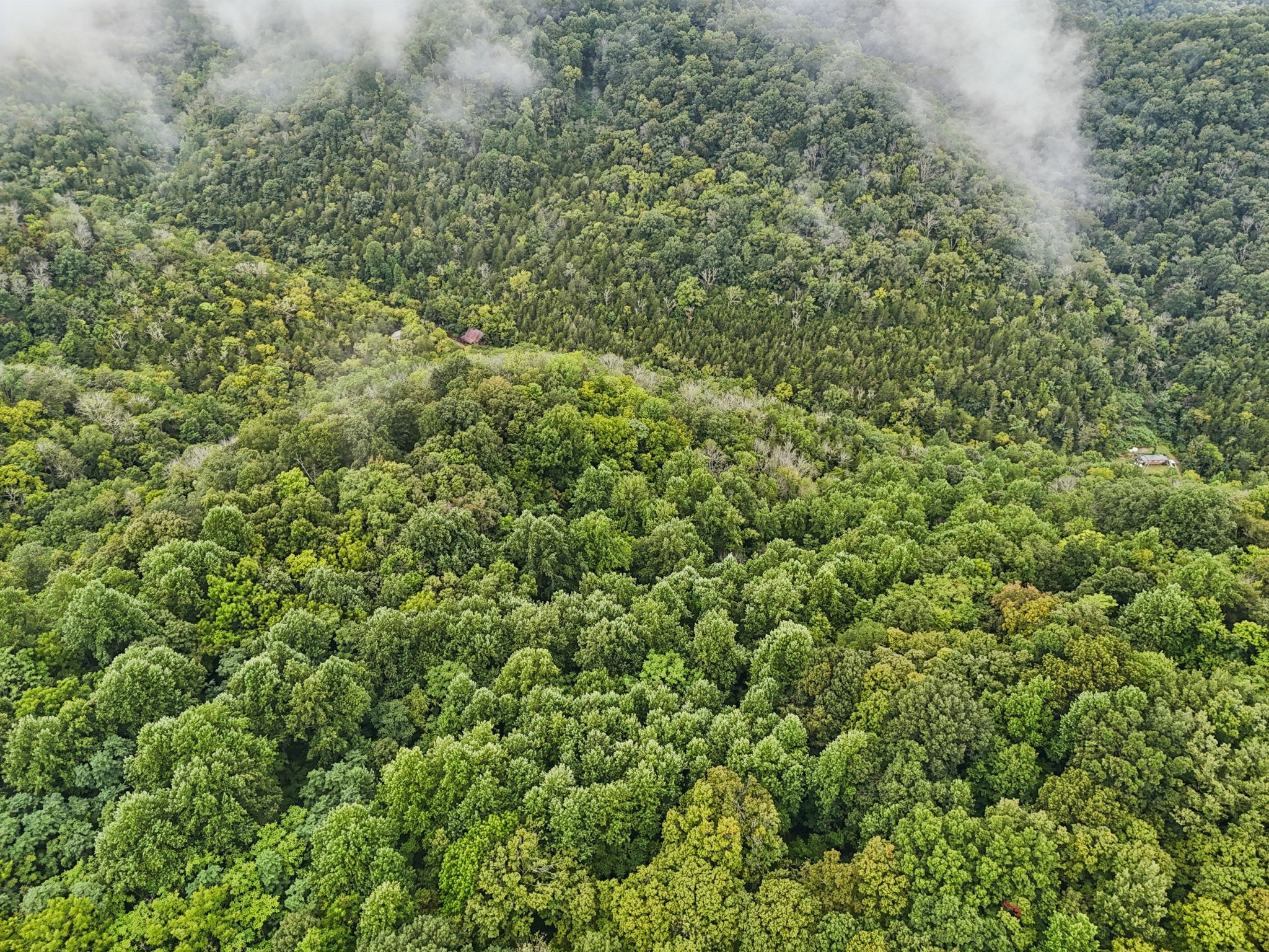 0 Turkey Branch Road Liberty TN 37095