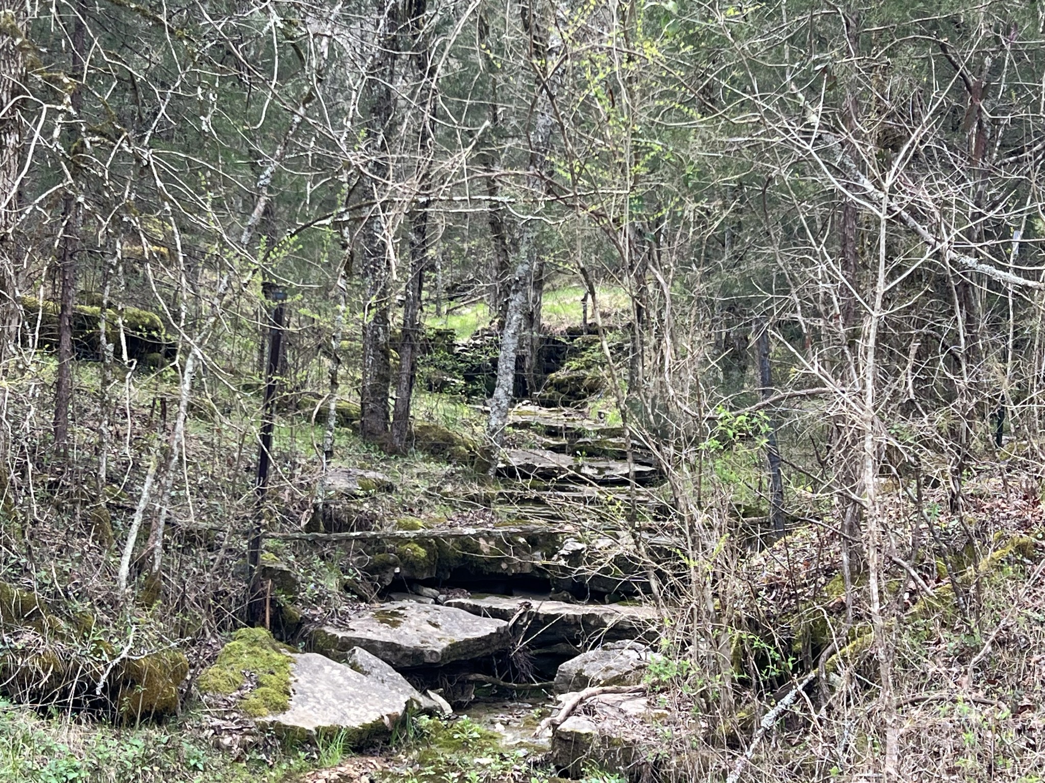 0 Turkey Branch Road Liberty TN 37095