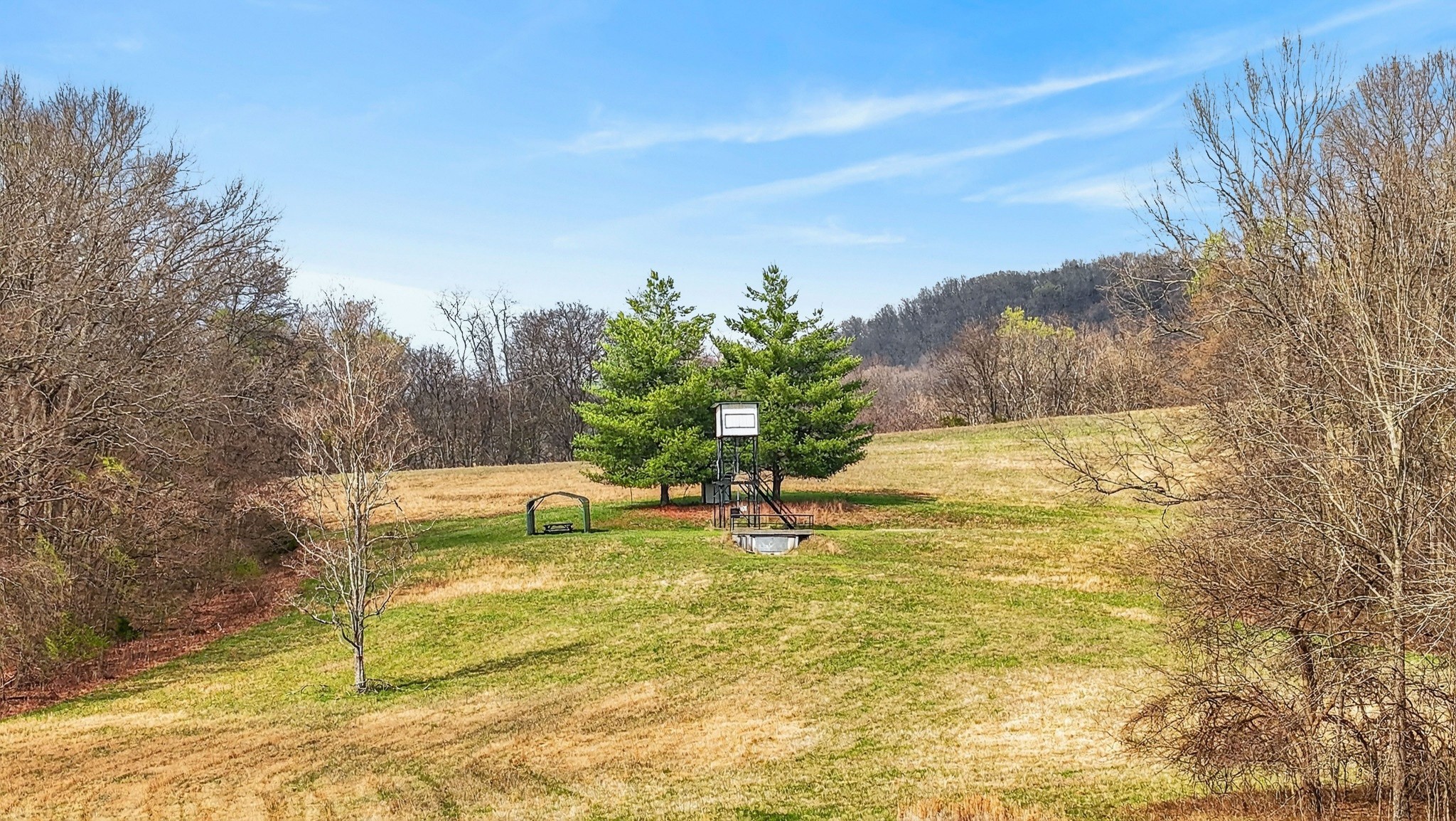 1289 Old Hopewell Road Castalian Springs TN 37031