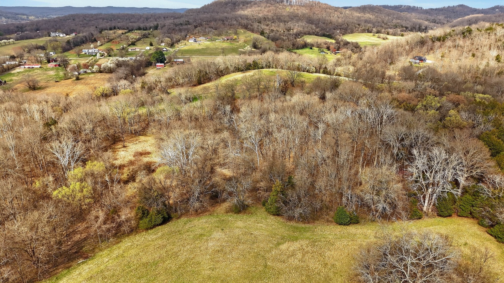 1289 Old Hopewell Road Castalian Springs TN 37031