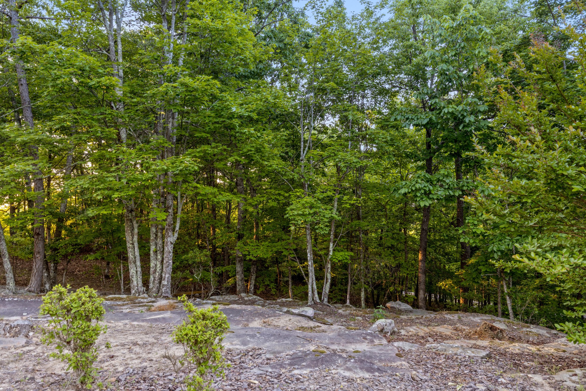 143 Tunnie Point Dunlap TN 37327