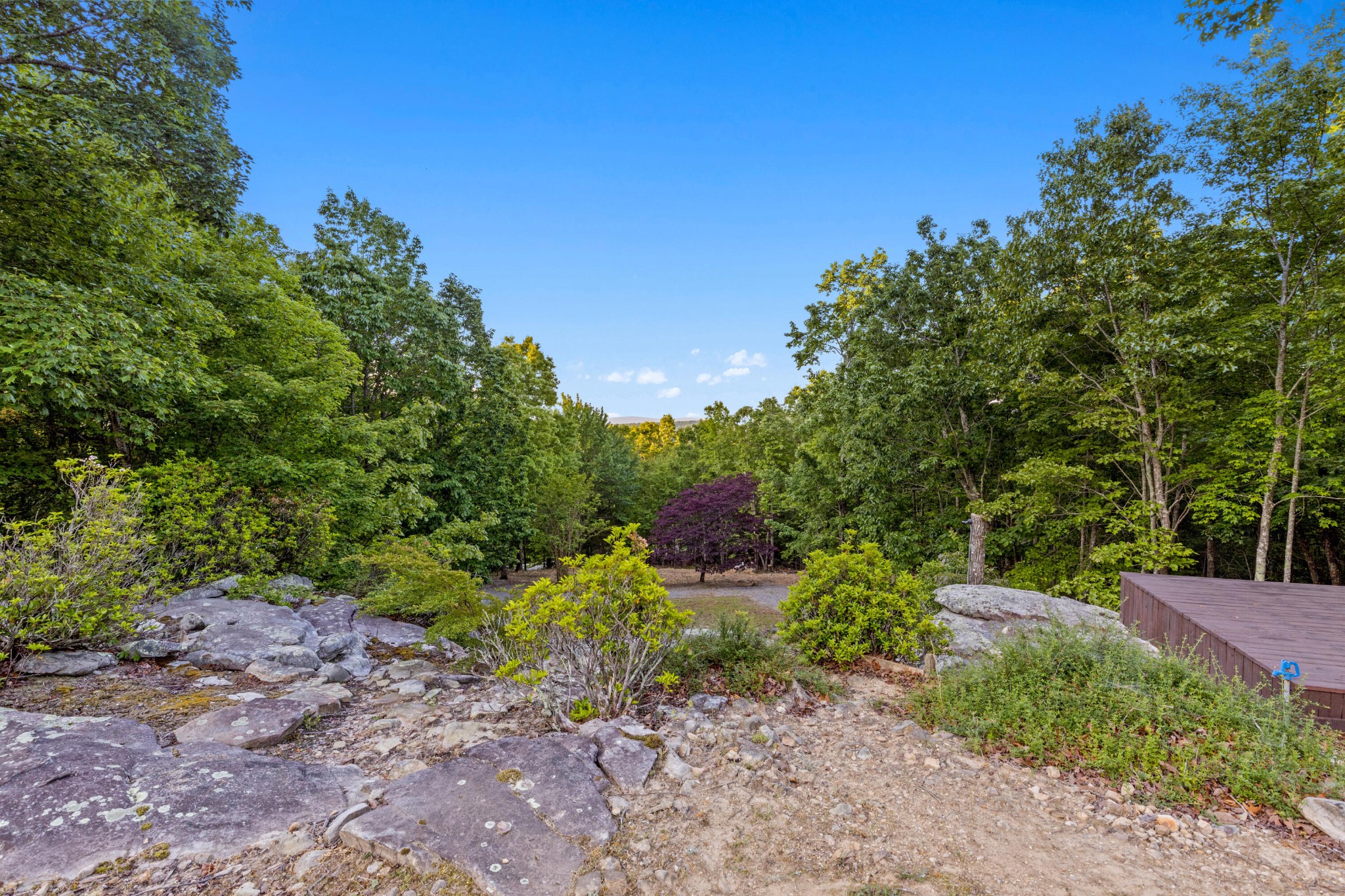 143 Tunnie Point Dunlap TN 37327